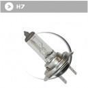 Ampoule H7 - 12 V - 55 W blanche