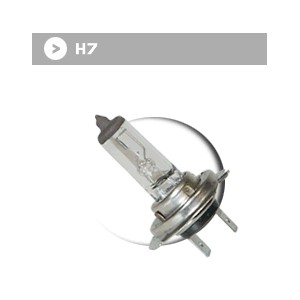 Ampoule H7 - 12 V - 55 W blanche